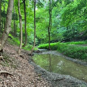 Meet your Posher, Kenzie